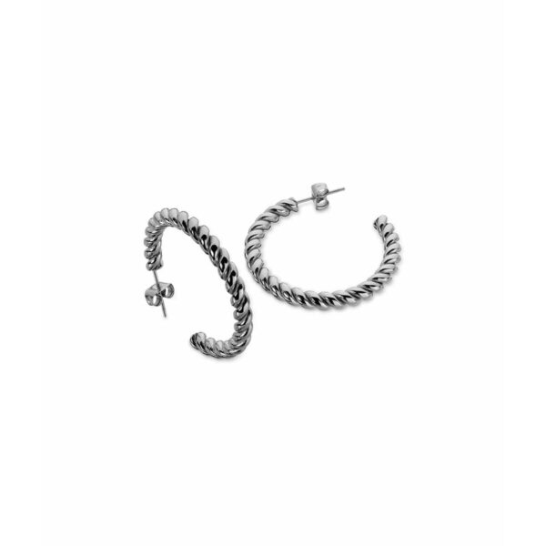Kolczyki Damskie AN Jewels AAC.E25S