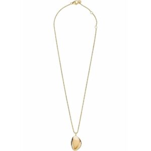 Wisiorek Męski Skagen SKJ1750710 Złoty